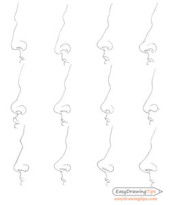 drawing different nose shapes