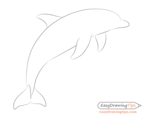 How to Draw a Dolphin Step by Step - EasyDrawingTips