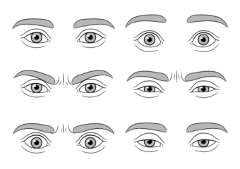 Character Anatomy  Eyes