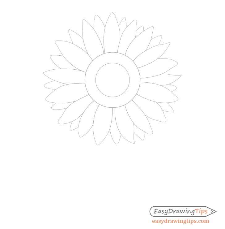 How to Draw a Sunflower Step by Step - EasyDrawingTips