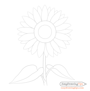 How to Draw a Sunflower Step by Step - EasyDrawingTips