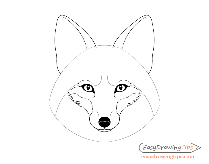 How to Draw Fox Step by Step Guide - Drawing All