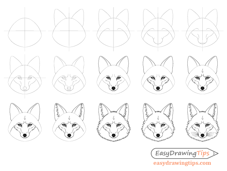 Learn how to draw a Nice Fennec Fox - EASY TO DRAW EVERYTHING