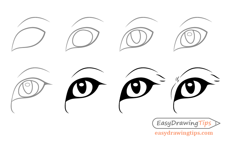 Fox eye drawing step by step