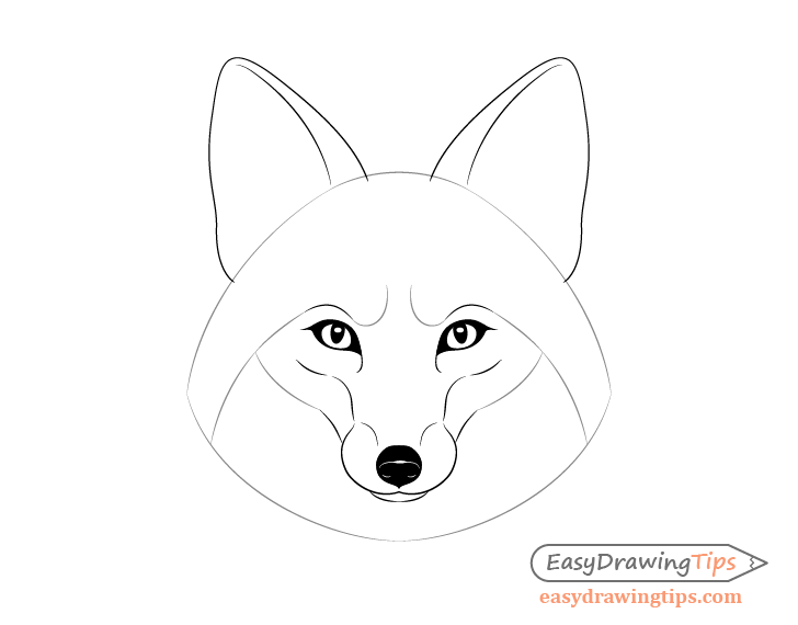 How to Draw a Fox Step by Step - EasyDrawingTips