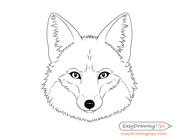 Black And White Picture Of A Fox Head Outline Sketch Drawing Vector, Fox  Drawing, Wing Drawing, Black And White Drawing PNG and Vector with  Transparent Background for Free Download
