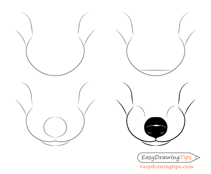 Fox snout drawing step by step