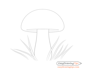 How to Draw a Mushroom in 8 Steps - EasyDrawingTips