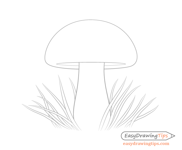 How to draw a mushroom for kids | Mushroom drawing, Easy doodle art, Drawing  for kids