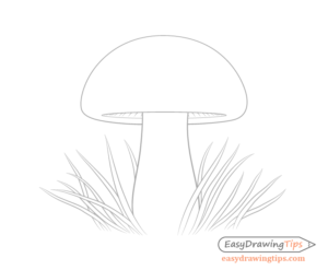 How to Draw a Mushroom in 8 Steps - EasyDrawingTips