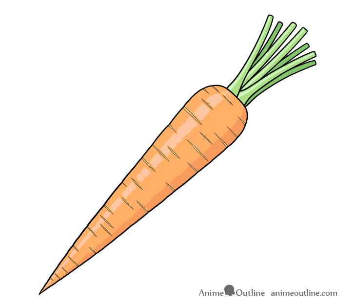 Illustration of Carrot Vector Drawing 21724967 Vector Art at Vecteezy