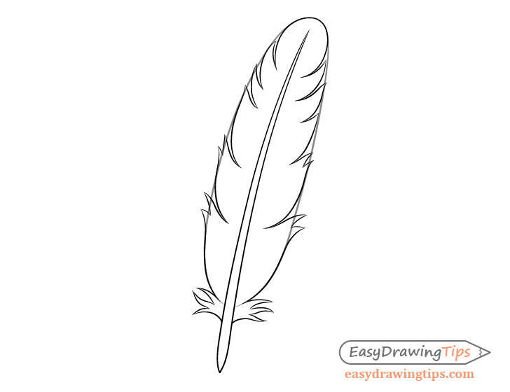 Feather details drawing
