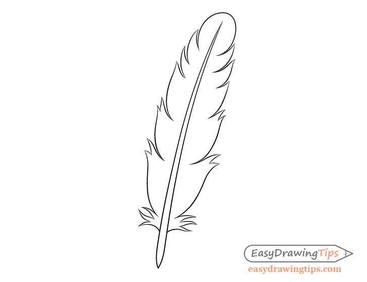 Feather drawing