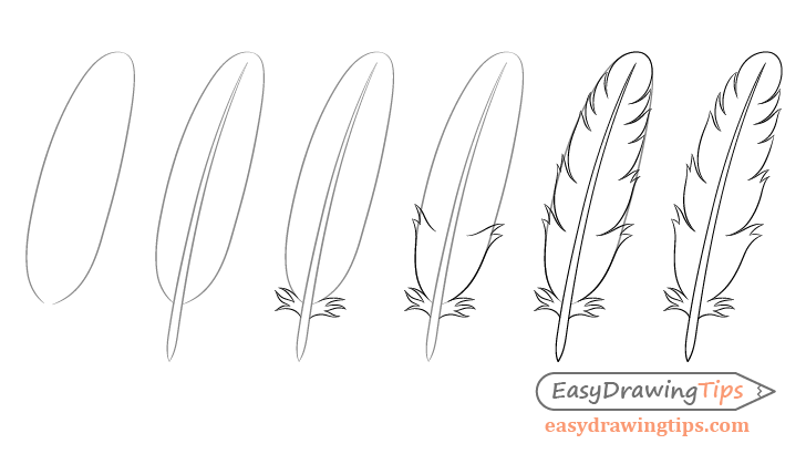 How to draw a feather step by step