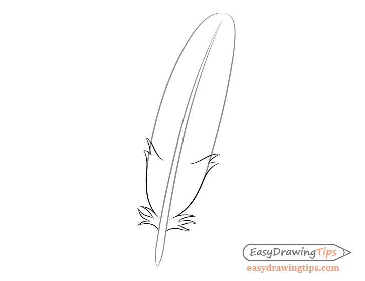 Feather splits drawing